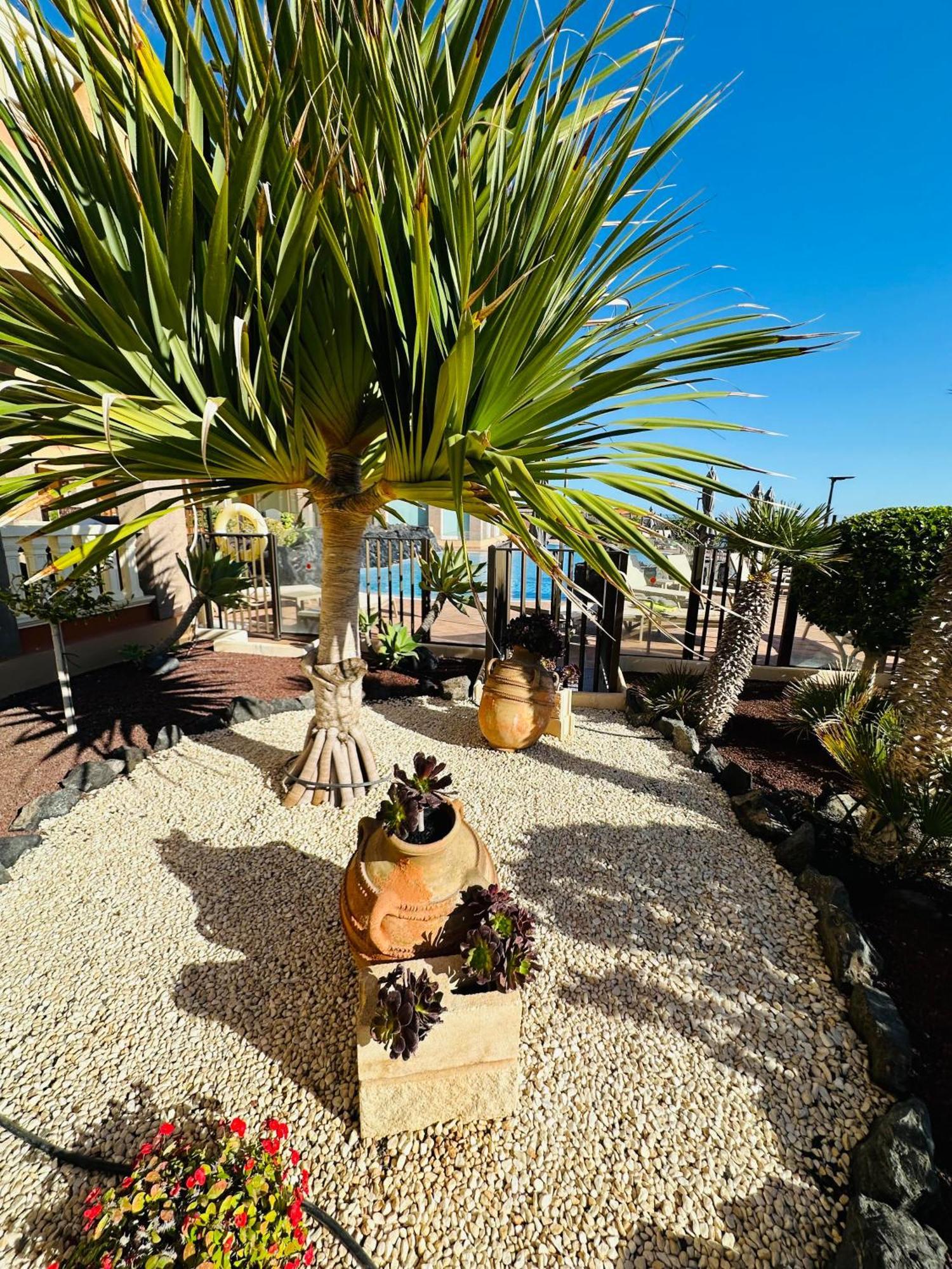 El Nautico Coral Suites San Miguel de Abona Extérieur photo