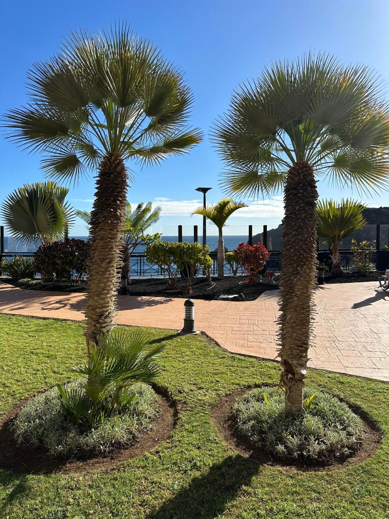 El Nautico Coral Suites San Miguel de Abona Extérieur photo